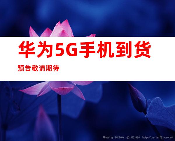 传承红色血脉，筑牢Weilink长城